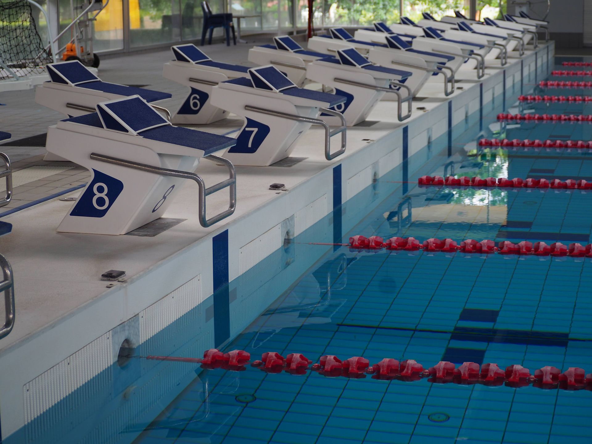 Wedstrijdbad met genummerde startblokken in Aquatopia